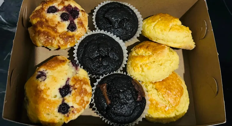 A box of blueberry muffins, chocolate muffins and a fresh scone