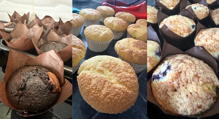 Chocolate tulip muffins, plain muffins and a close-up blueberry muffin