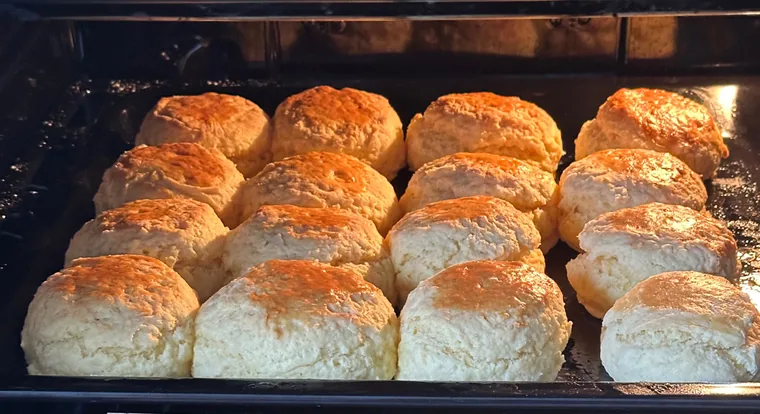 A tray of scones rising and turning golden in the oven